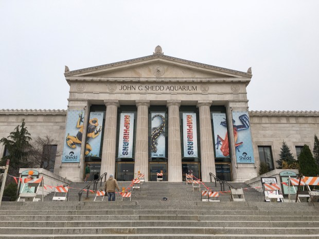 Shedd Aquarium.jpg